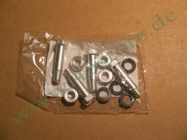 2954-14 // Schrauben-Set (4), Trittbretter, cadmiert