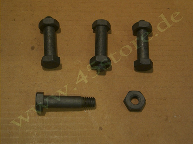 2954-14P // Schrauben-Set (4), Trittbretter, parkerisiert