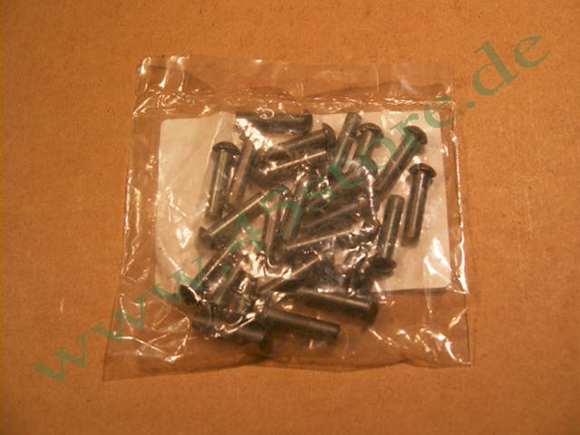 4033-35 // Niete-Set, Hinterradritzel