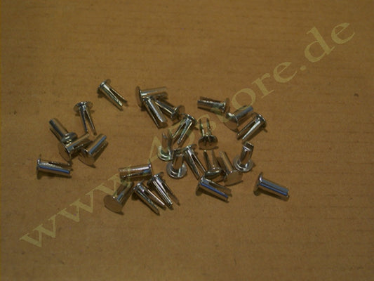 2941-14N // Niete-Set (28), Trittbretter, Nickel