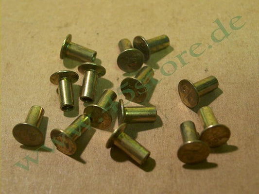 4046-31 // Niete-Set, Bremsbeläge, hinten (14)